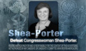 Defeat Congresswoman Shea-Porter